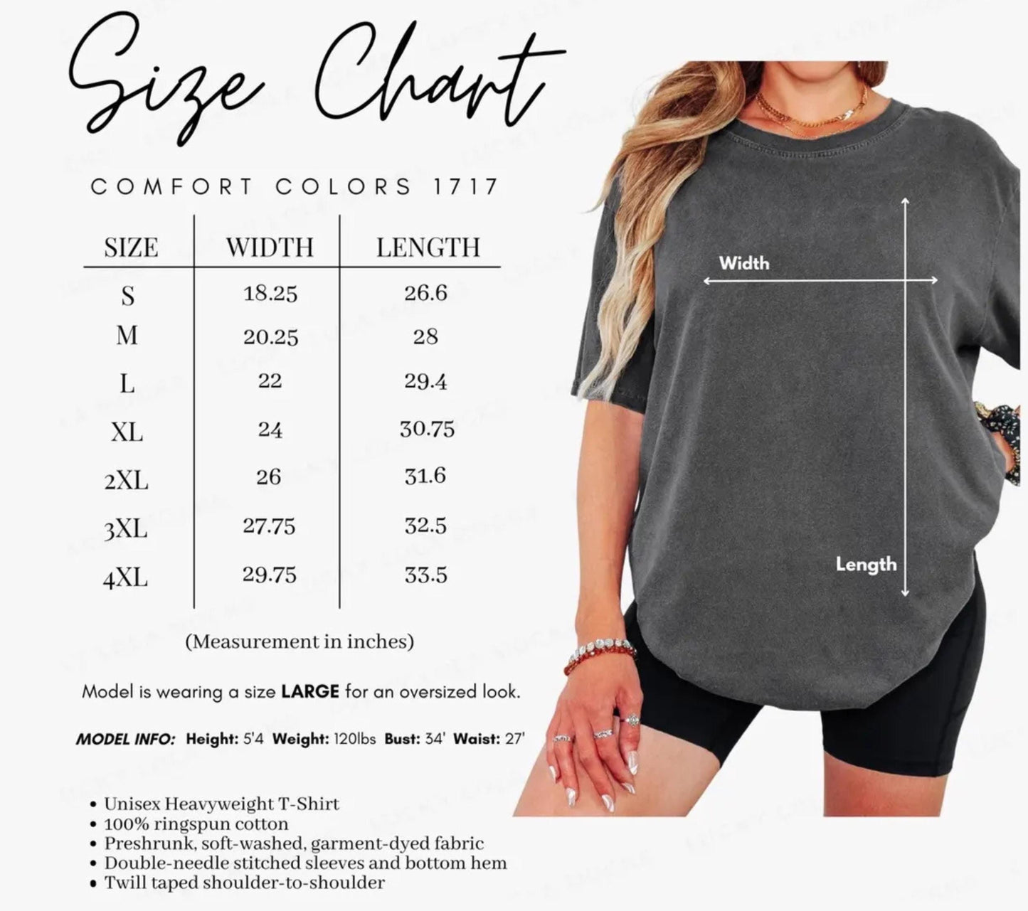 train lovers graphic tee with derail me gently quote, unisex soft t-shirt featuring vintage locomotive art and retro sarcastic humor