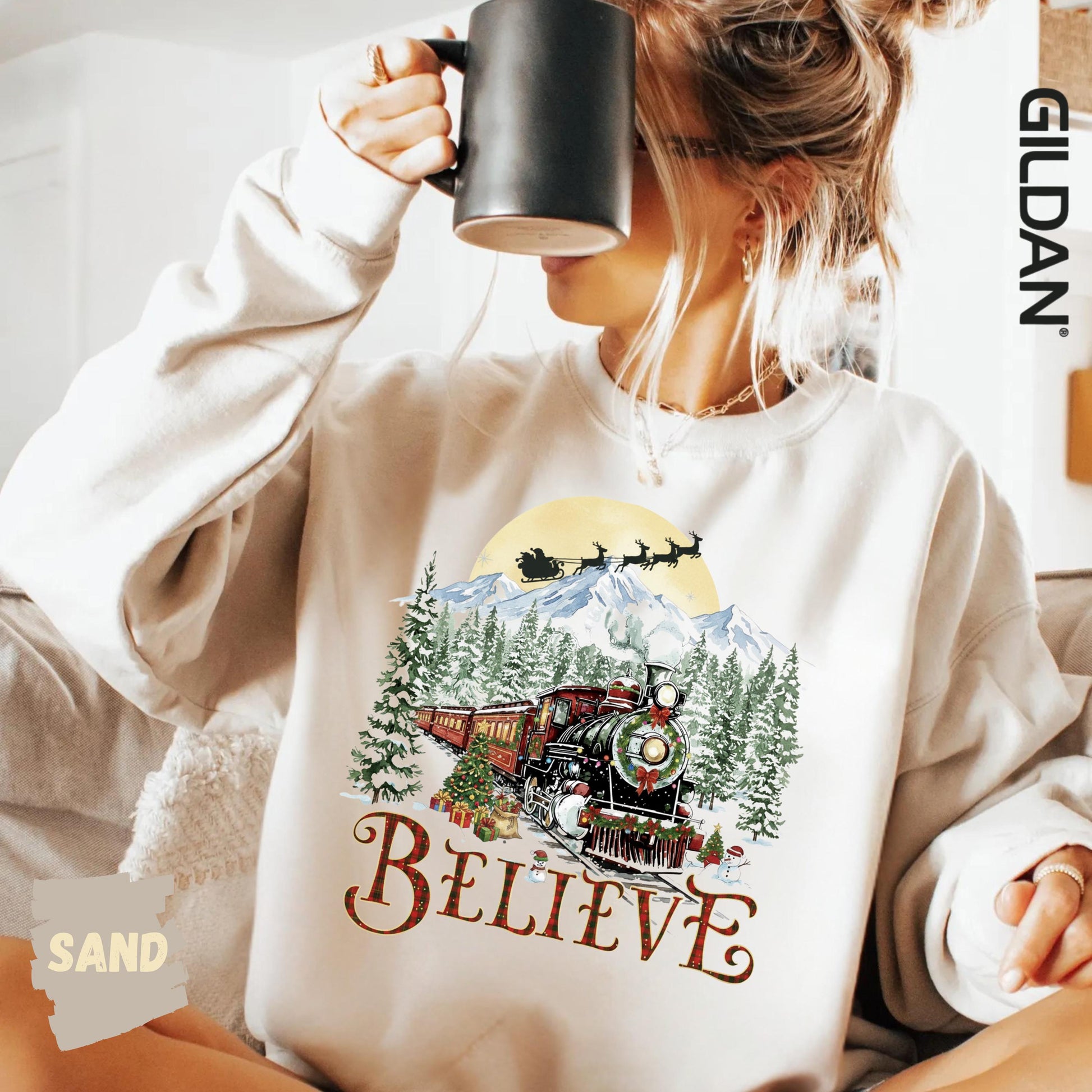 Believe in Christmas Sweatshirt, Polar Express T-shirt, Holiday Gift Ideas, Merry Christmas Tee, Aboard Hoodie Xmas