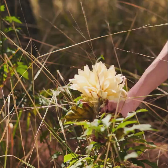 Custom Graphic Photo Vintage Washed Shirt, Family Bootleg Graphic Shirt, Personalize Bootleg Custom, Bachelor Party, Graduation Gift Idea